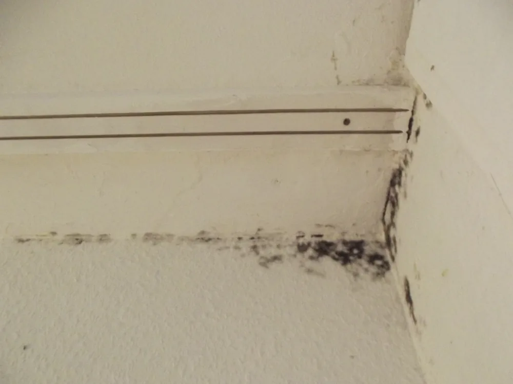 Technician in protective gear removing a mold-damaged wall in a Fairfield home